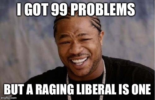 Yo Dawg Heard You | I GOT 99 PROBLEMS; BUT A RAGING LIBERAL IS ONE | image tagged in memes,yo dawg heard you | made w/ Imgflip meme maker