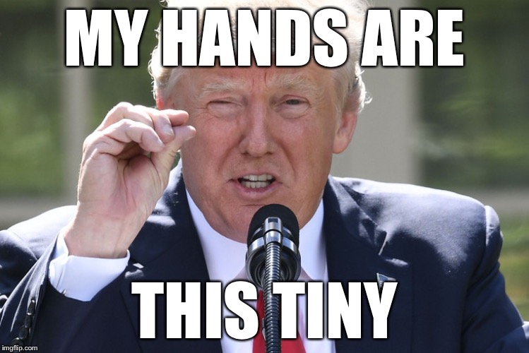 Tiny Trump hands | MY HANDS ARE; THIS TINY | image tagged in donald trump | made w/ Imgflip meme maker