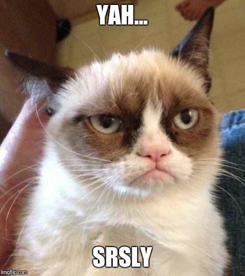 Grumpy Cat Reverse | YAH... SRSLY | image tagged in memes,grumpy cat reverse,grumpy cat | made w/ Imgflip meme maker