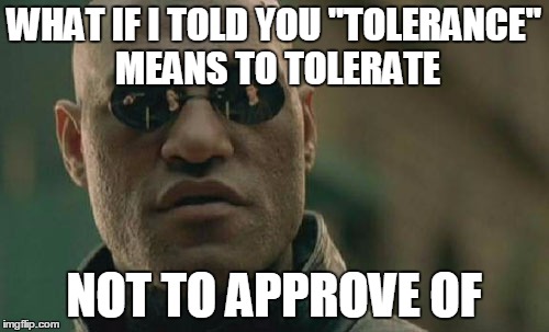 Matrix Morpheus | WHAT IF I TOLD YOU "TOLERANCE" MEANS TO TOLERATE; NOT TO APPROVE OF | image tagged in memes,matrix morpheus | made w/ Imgflip meme maker