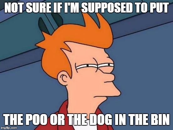 Futurama Fry Meme | NOT SURE IF I'M SUPPOSED TO PUT THE POO OR THE DOG IN THE BIN | image tagged in memes,futurama fry | made w/ Imgflip meme maker