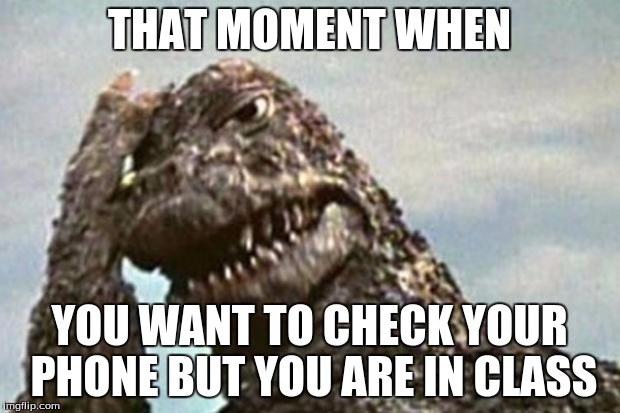 Godzilla Facepalm | THAT MOMENT WHEN; YOU WANT TO CHECK YOUR PHONE BUT YOU ARE IN CLASS | image tagged in godzilla facepalm | made w/ Imgflip meme maker