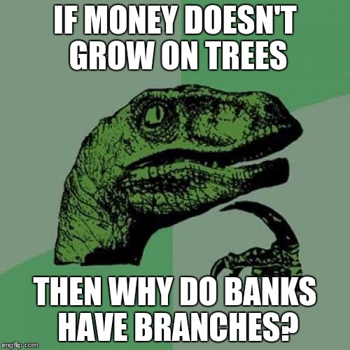 Philosoraptor | IF MONEY DOESN'T GROW ON TREES; THEN WHY DO BANKS HAVE BRANCHES? | image tagged in memes,philosoraptor | made w/ Imgflip meme maker