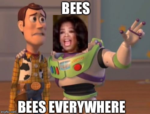 X, X Everywhere |  BEES; BEES EVERYWHERE | image tagged in memes,x x everywhere | made w/ Imgflip meme maker