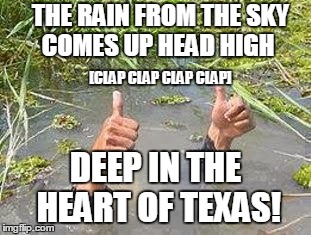 FLOODING THUMBS UP | THE RAIN FROM THE SKY   
COMES UP HEAD HIGH; [CLAP CLAP CLAP CLAP]; DEEP IN THE HEART OF TEXAS! | image tagged in flooding thumbs up,texas | made w/ Imgflip meme maker
