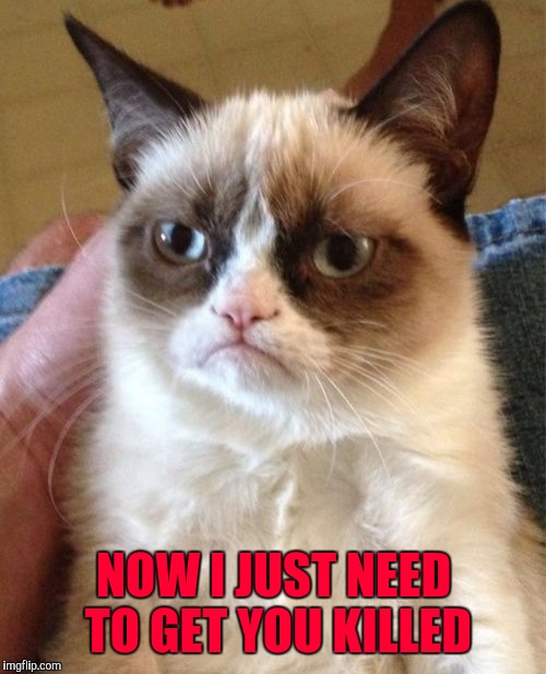 Grumpy Cat Meme | NOW I JUST NEED TO GET YOU KILLED | image tagged in memes,grumpy cat | made w/ Imgflip meme maker