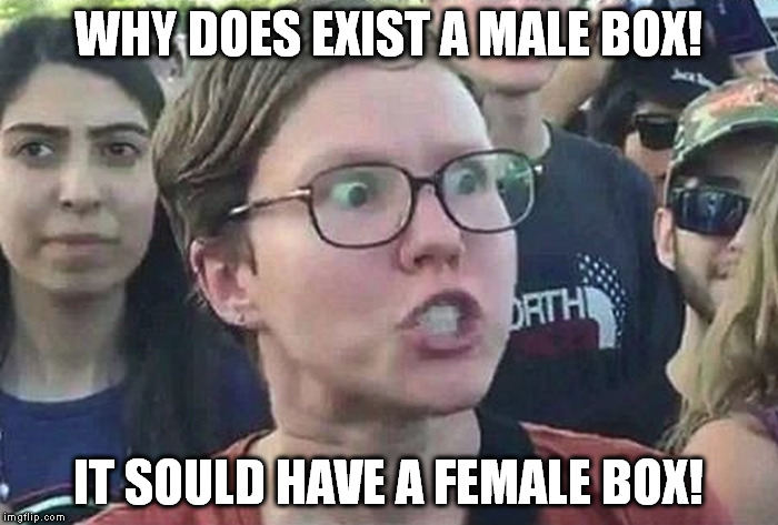 Triggered Liberal mail box | WHY DOES EXIST A MALE BOX! IT SOULD HAVE A FEMALE BOX! | image tagged in triggered liberal | made w/ Imgflip meme maker