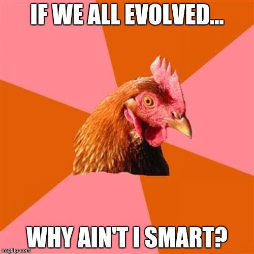 Anti Joke Chicken Meme | IF WE ALL EVOLVED... WHY AIN'T I SMART? | image tagged in memes,anti joke chicken | made w/ Imgflip meme maker