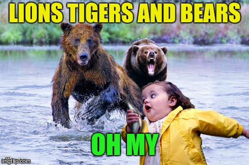 LIONS TIGERS AND BEARS OH MY | made w/ Imgflip meme maker