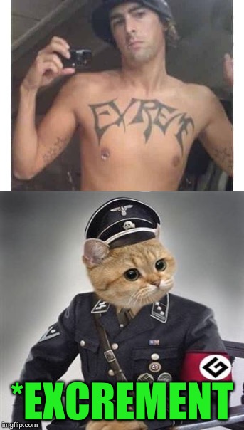 Bad Tattoo, inspired by Ghostofchurch | *EXCREMENT | image tagged in memes,tattoos,bad tattoos,grammar nazi cat | made w/ Imgflip meme maker