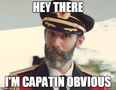 Captain Obvious | HEY THERE; I'M CAPATIN OBVIOUS | image tagged in captain obvious | made w/ Imgflip meme maker