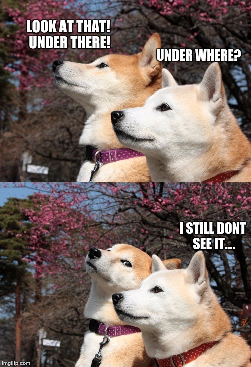 Bad pun dogs | LOOK AT THAT! UNDER THERE! UNDER WHERE? I STILL DONT SEE IT.... | image tagged in bad pun dogs,scumbag | made w/ Imgflip meme maker