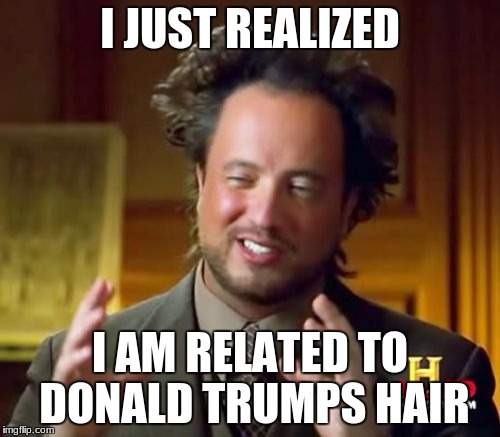 Ancient Aliens Meme | I JUST REALIZED; I AM RELATED TO DONALD TRUMPS HAIR | image tagged in memes,ancient aliens | made w/ Imgflip meme maker