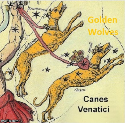 Canes Venatici/Golden Wolves | image tagged in astrology,gold,wolves | made w/ Imgflip meme maker