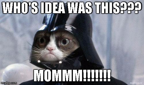 Grumpy Cat Star Wars Meme | WHO'S IDEA WAS THIS??? MOMMM!!!!!!! | image tagged in memes,grumpy cat star wars,grumpy cat | made w/ Imgflip meme maker