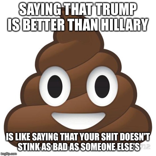 poop | SAYING THAT TRUMP IS BETTER THAN HILLARY; IS LIKE SAYING THAT YOUR SHIT DOESN'T STINK AS BAD AS SOMEONE ELSE'S | image tagged in poop | made w/ Imgflip meme maker
