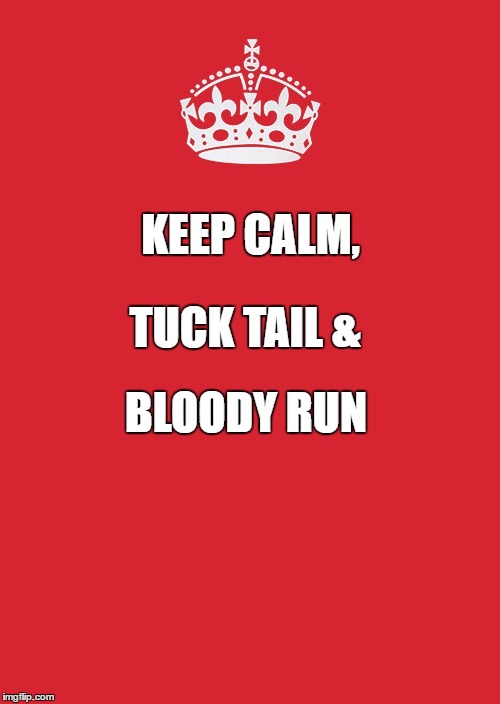 Keep Calm And Carry On Red Meme | TUCK TAIL &; KEEP CALM, BLOODY RUN | image tagged in memes,keep calm and carry on red | made w/ Imgflip meme maker