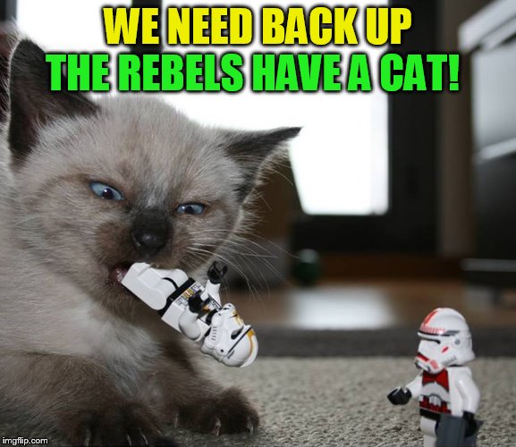 THE REBELS HAVE A CAT! WE NEED BACK UP | made w/ Imgflip meme maker