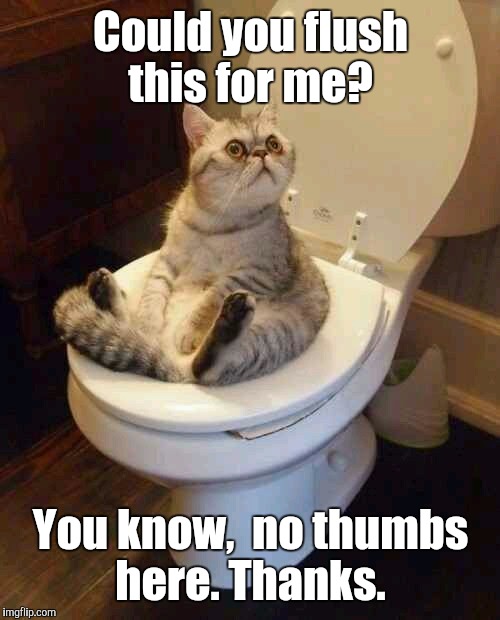 Could you flush this for me? You know,  no thumbs here. Thanks. | made w/ Imgflip meme maker