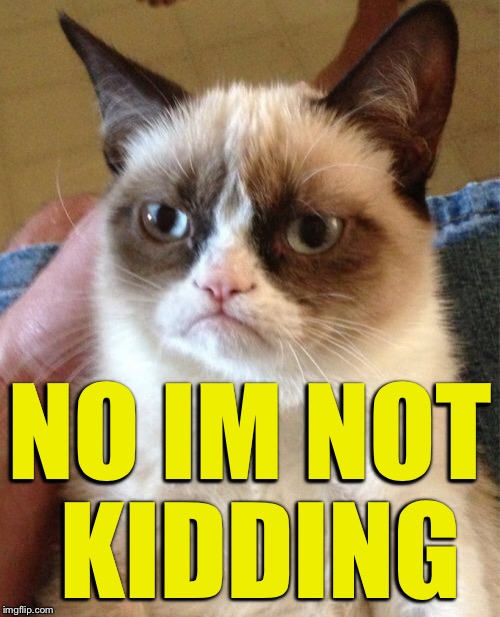 Grumpy Cat Meme | NO IM NOT KIDDING | image tagged in memes,grumpy cat | made w/ Imgflip meme maker