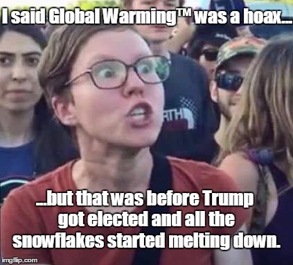 Talk about a hot mess! | I said Global Warming™ was a hoax... ...but that was before Trump got elected and all the snowflakes started melting down. | image tagged in angry liberal | made w/ Imgflip meme maker