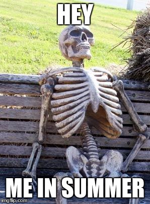 Waiting Skeleton Meme | HEY; ME IN SUMMER | image tagged in memes,waiting skeleton | made w/ Imgflip meme maker