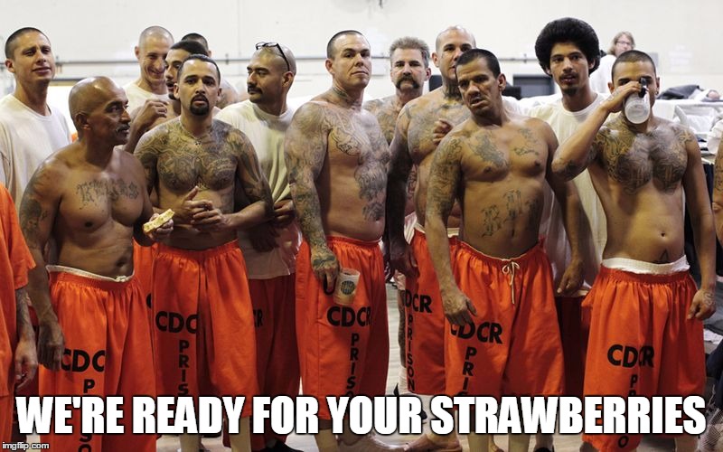 Prisoners | WE'RE READY FOR YOUR STRAWBERRIES | image tagged in prisoners | made w/ Imgflip meme maker