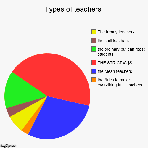 image tagged in funny,pie charts,teacher | made w/ Imgflip chart maker