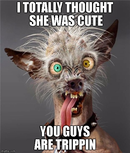 Trippin' Brah | I TOTALLY THOUGHT SHE WAS CUTE; YOU GUYS ARE TRIPPIN | image tagged in cutie,fugly,where,shecute,tore up,nah | made w/ Imgflip meme maker