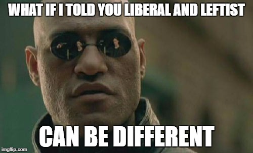 Matrix Morpheus | WHAT IF I TOLD YOU LIBERAL AND LEFTIST; CAN BE DIFFERENT | image tagged in memes,matrix morpheus | made w/ Imgflip meme maker