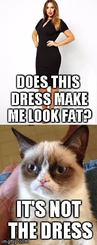 Grumpy cat strikes again | DOES THIS DRESS MAKE ME LOOK FAT? IT'S NOT THE DRESS | image tagged in grumpy cat,dress,cat,fat,animals,funny | made w/ Imgflip meme maker