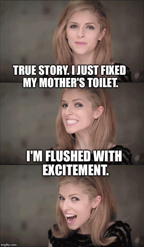 Bad Pun Anna Kendrick Meme | TRUE STORY. I JUST FIXED MY MOTHER'S TOILET. I'M FLUSHED WITH EXCITEMENT. | image tagged in memes,bad pun anna kendrick | made w/ Imgflip meme maker