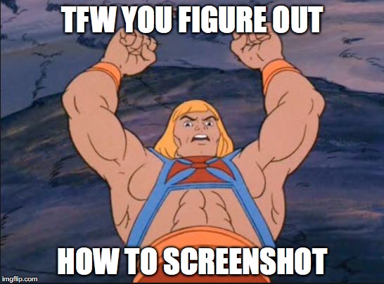 HEMAN | TFW YOU FIGURE OUT; HOW TO SCREENSHOT | image tagged in heman | made w/ Imgflip meme maker
