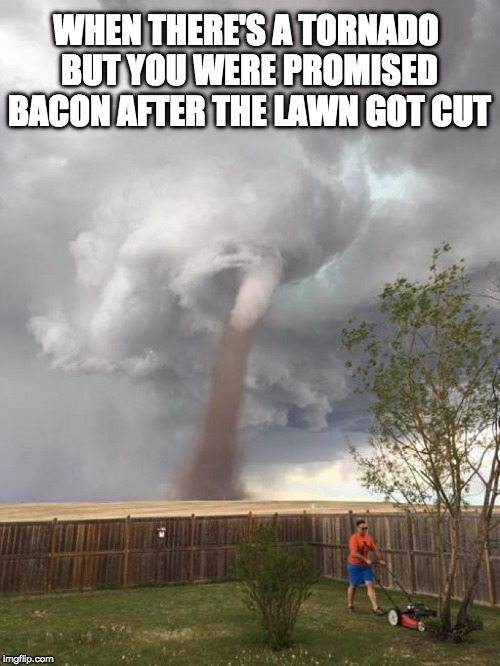 Baconado! | WHEN THERE'S A TORNADO BUT YOU WERE PROMISED BACON AFTER THE LAWN GOT CUT | image tagged in tornado dad,iwanttobebacon,iwanttobebaconcom | made w/ Imgflip meme maker