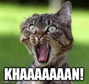 Screaming cat | KHAAAAAAAN! | image tagged in screaming cat | made w/ Imgflip meme maker