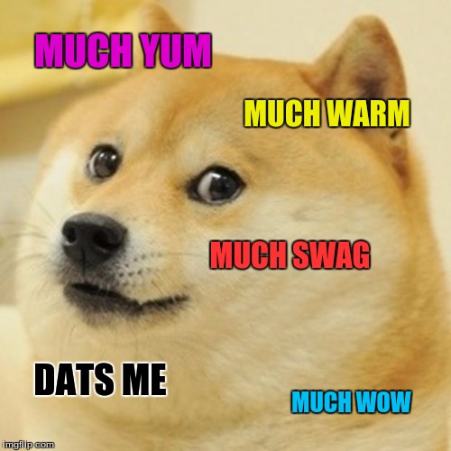 Doge Meme | MUCH YUM MUCH WARM MUCH SWAG DATS ME MUCH WOW | image tagged in memes,doge | made w/ Imgflip meme maker