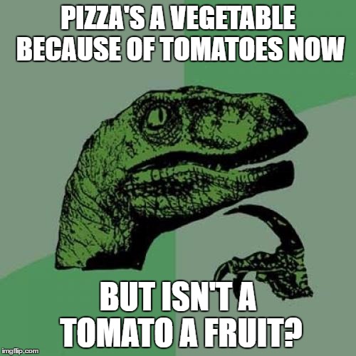 Philosoraptor Meme | PIZZA'S A VEGETABLE BECAUSE OF TOMATOES NOW; BUT ISN'T A TOMATO A FRUIT? | image tagged in memes,philosoraptor | made w/ Imgflip meme maker