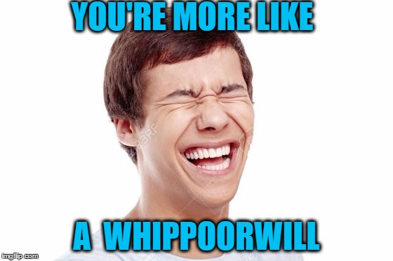 YOU'RE MORE LIKE A  WHIPPOORWILL | made w/ Imgflip meme maker