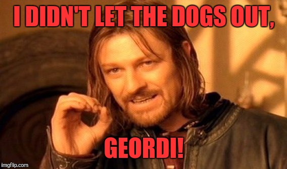 One Does Not Simply Meme | I DIDN'T LET THE DOGS OUT, GEORDI! | image tagged in memes,one does not simply | made w/ Imgflip meme maker