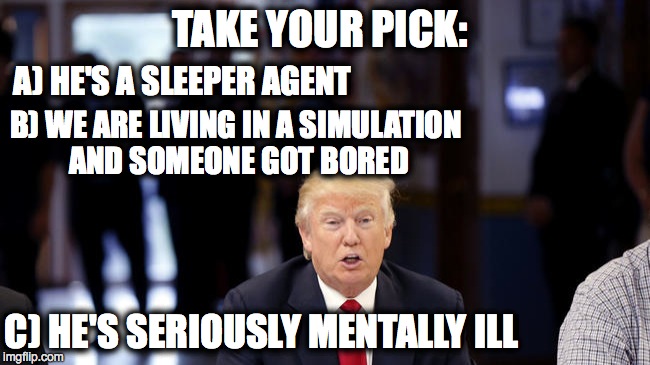 TAKE YOUR PICK:; A) HE'S A SLEEPER AGENT; B) WE ARE LIVING IN A SIMULATION AND SOMEONE GOT BORED; C) HE'S SERIOUSLY MENTALLY ILL | image tagged in donald trump | made w/ Imgflip meme maker