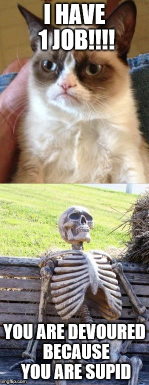 grumpy cat and skeleton
 | I HAVE 1 JOB!!!! YOU ARE DEVOURED BECAUSE YOU ARE SUPID | image tagged in yass cat | made w/ Imgflip meme maker