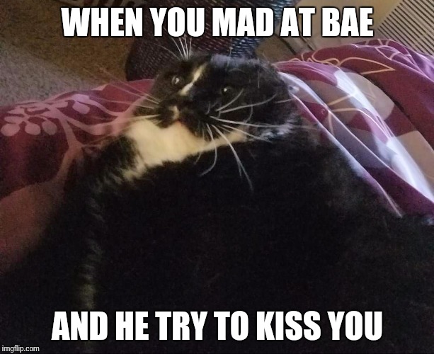 WHEN YOU MAD AT BAE; AND HE TRY TO KISS YOU | image tagged in salt bae | made w/ Imgflip meme maker