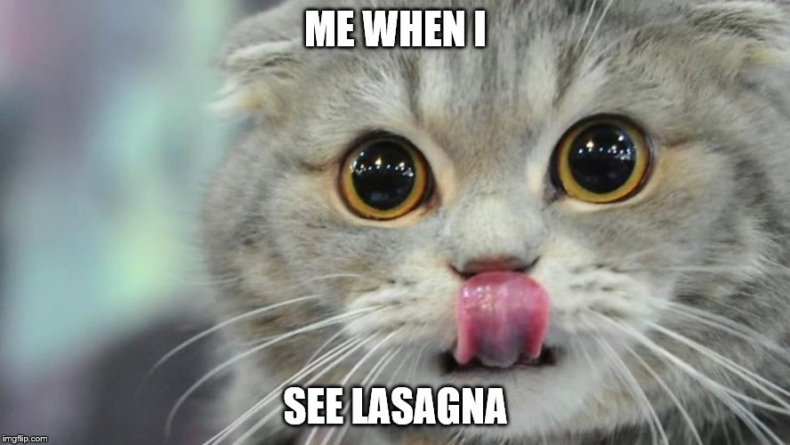 ME WHEN I; SEE LASAGNA | image tagged in cats | made w/ Imgflip meme maker