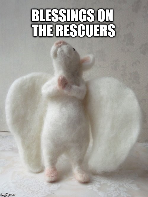 Blessing on the Rescuers | BLESSINGS ON THE RESCUERS | image tagged in blessings | made w/ Imgflip meme maker
