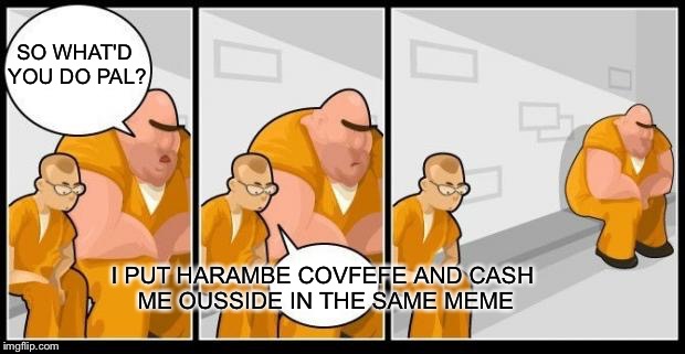 I killed a man, and you? | SO WHAT'D YOU DO PAL? I PUT HARAMBE COVFEFE AND CASH ME OUSSIDE IN THE SAME MEME | image tagged in i killed a man and you? | made w/ Imgflip meme maker