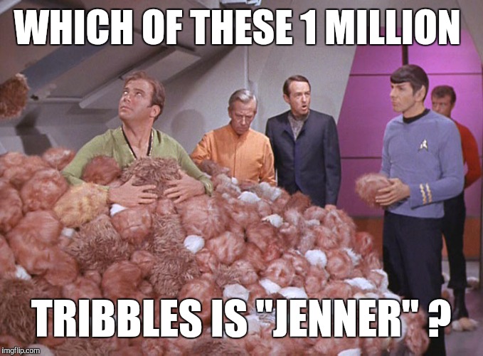 WHICH OF THESE 1 MILLION TRIBBLES IS "JENNER" ? | image tagged in memes | made w/ Imgflip meme maker