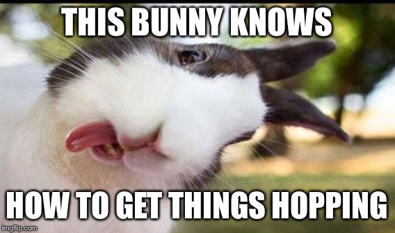 THIS BUNNY KNOWS HOW TO GET THINGS HOPPING | made w/ Imgflip meme maker