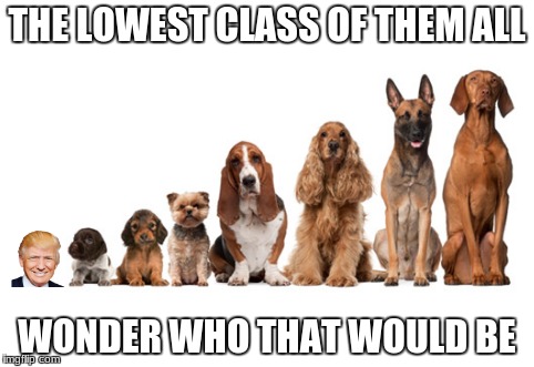 Trump dump | THE LOWEST CLASS OF THEM ALL; WONDER WHO THAT WOULD BE | image tagged in donald trump | made w/ Imgflip meme maker