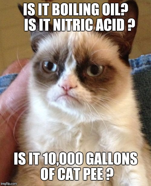 Grumpy Cat Meme | IS IT BOILING OIL?   IS IT NITRIC ACID ? IS IT 10,000 GALLONS OF CAT PEE ? | image tagged in memes,grumpy cat | made w/ Imgflip meme maker