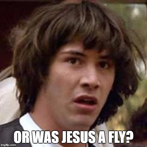 Conspiracy Keanu Meme | OR WAS JESUS A FLY? | image tagged in memes,conspiracy keanu | made w/ Imgflip meme maker